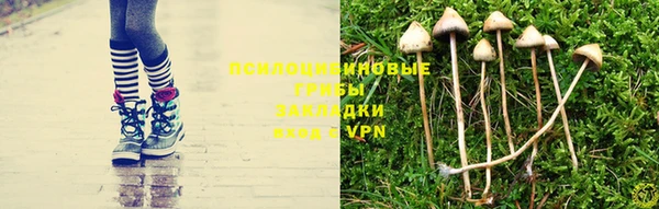 не бодяженный Армянск