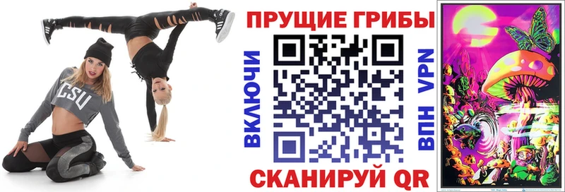 гидра ссылка  магазин    Лобня  Псилоцибиновые грибы Psilocybe 
